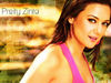 preity_wall7.jpg