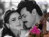 priety_venkatesh1_8x6.jpg