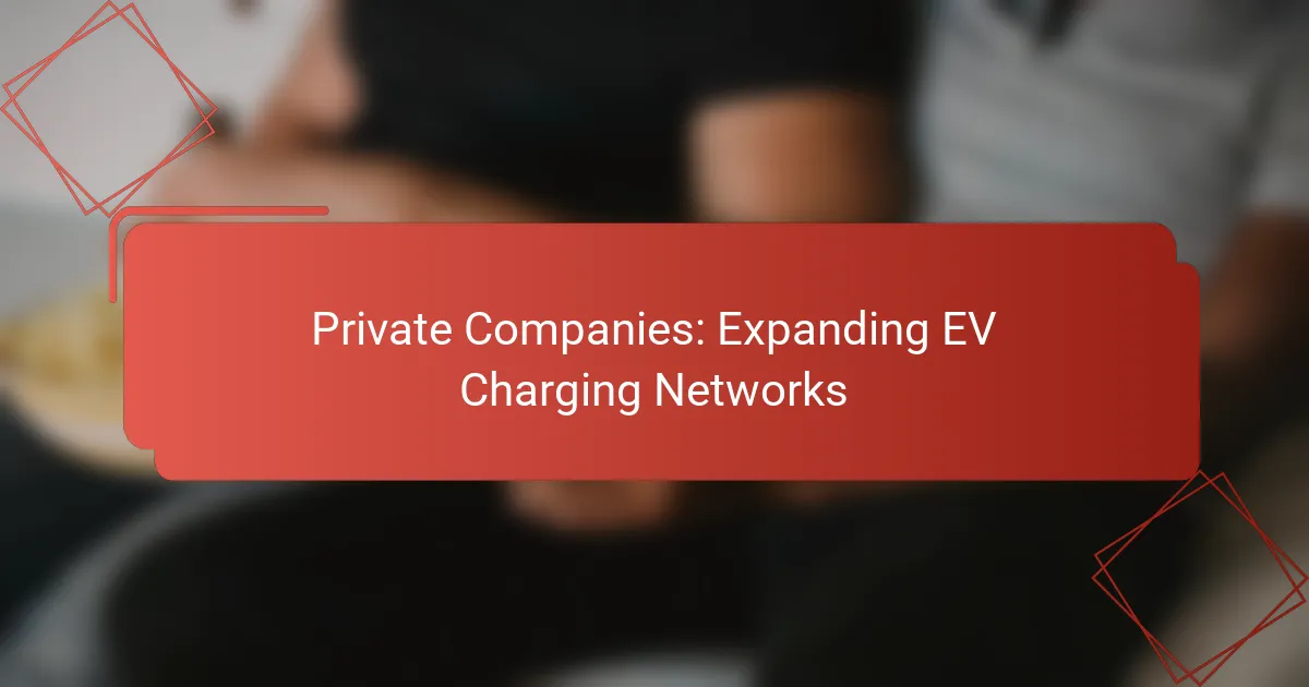 Private Companies: Expanding EV Charging Networks