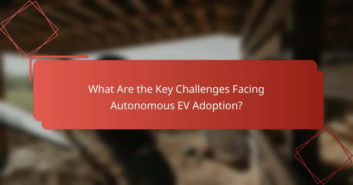 What Are the Key Challenges Facing Autonomous EV Adoption?