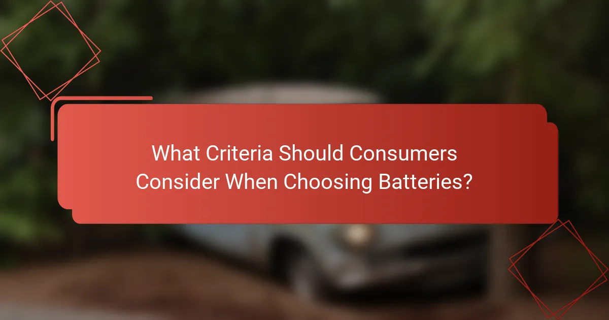 What Criteria Should Consumers Consider When Choosing Batteries?