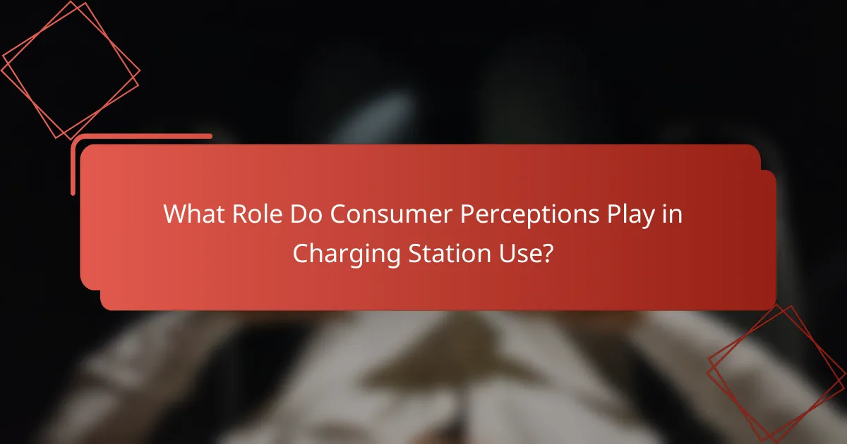 What Role Do Consumer Perceptions Play in Charging Station Use?
